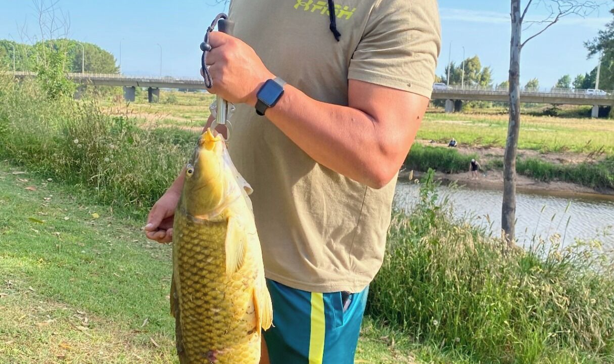 Photo of Others in Kelso