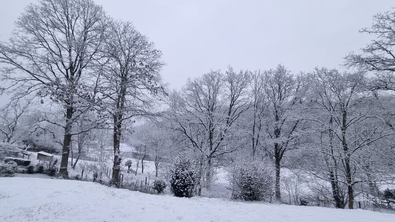 Photo of Others in Auffargis