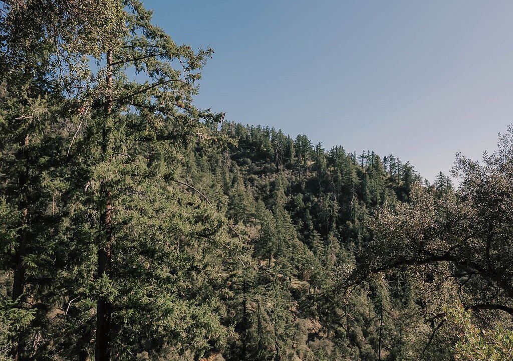 Photo of Others in Pauma Valley
