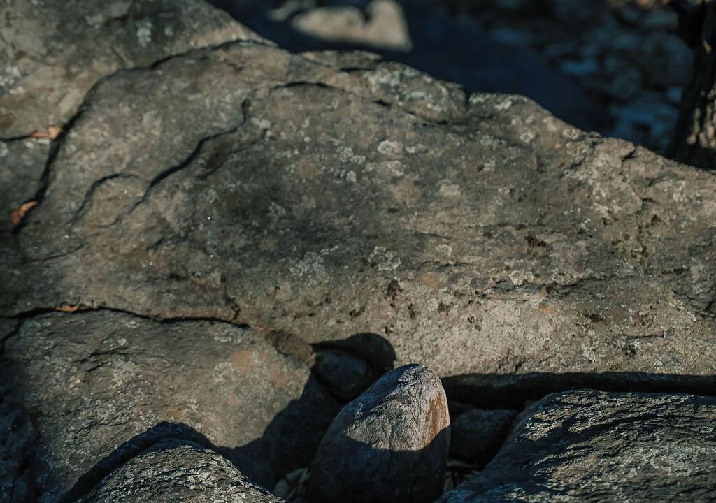 Photo of Others in Pauma Valley
