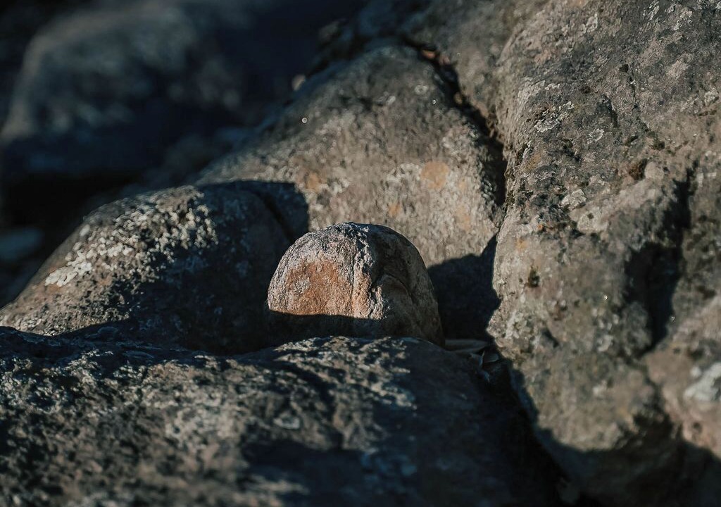 Photo of Others in Pauma Valley