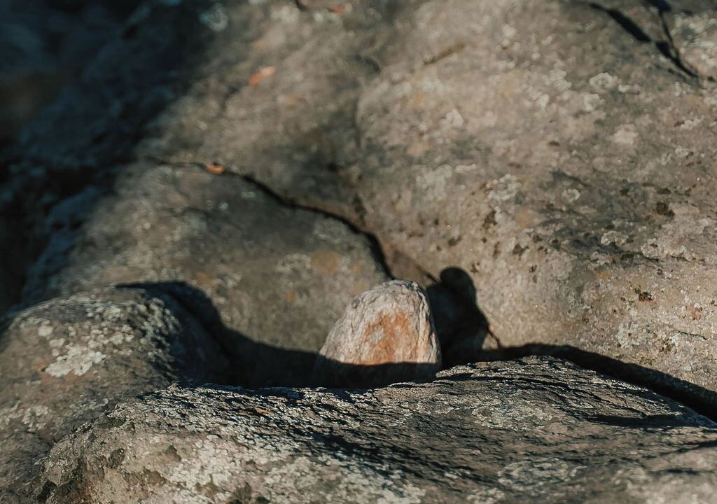 Photo of Others in Pauma Valley