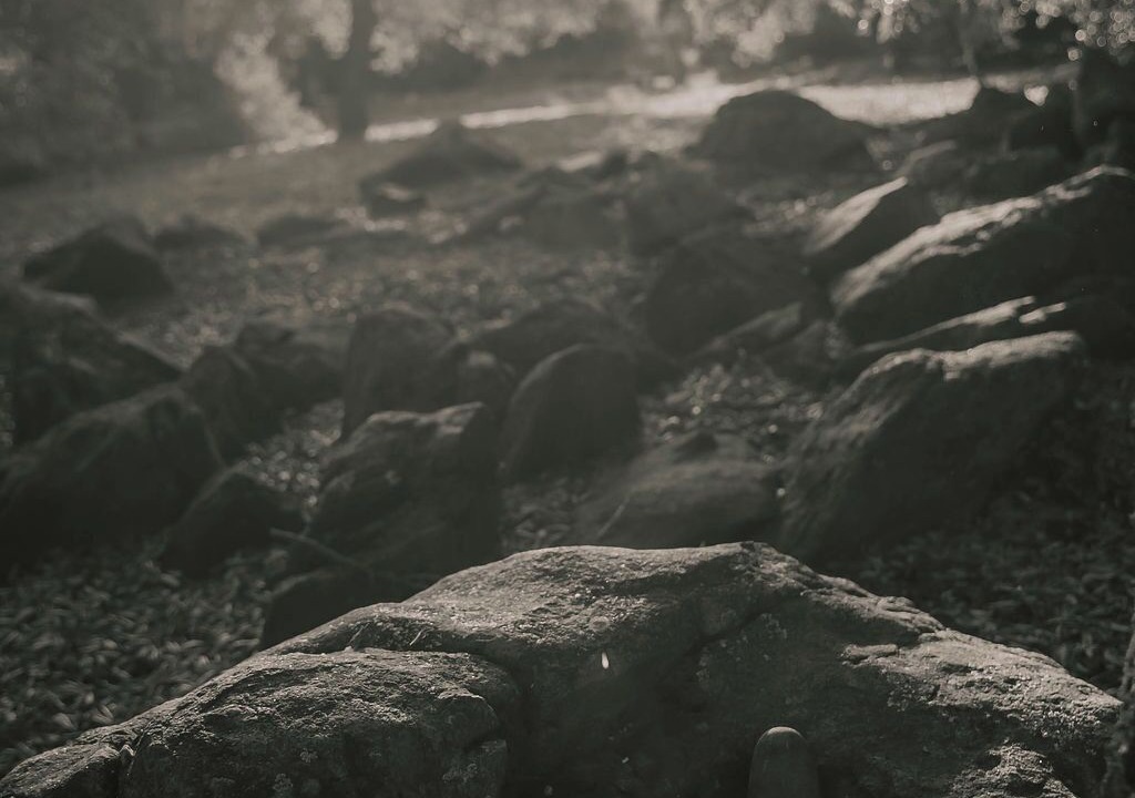 Photo of Others in Pauma Valley