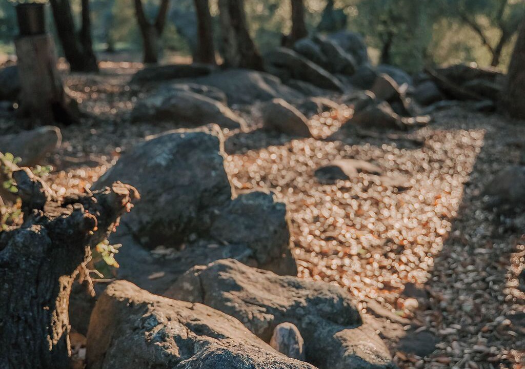 Photo of Others in Pauma Valley