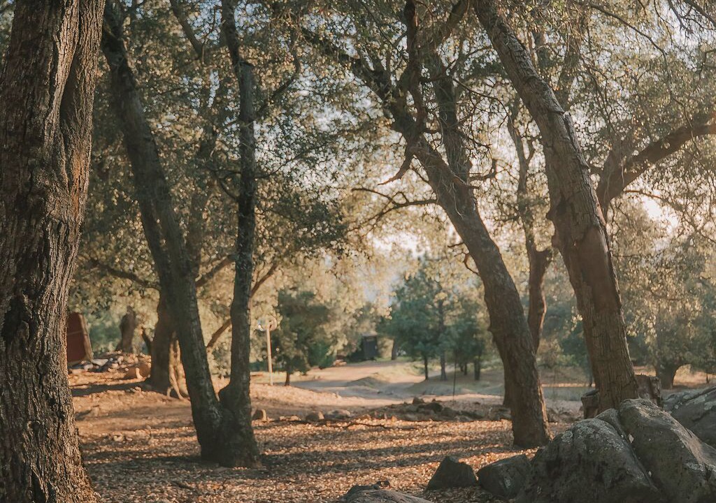 Photo of Others in Pauma Valley