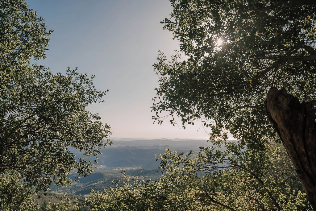 Photo of Others in Pauma Valley