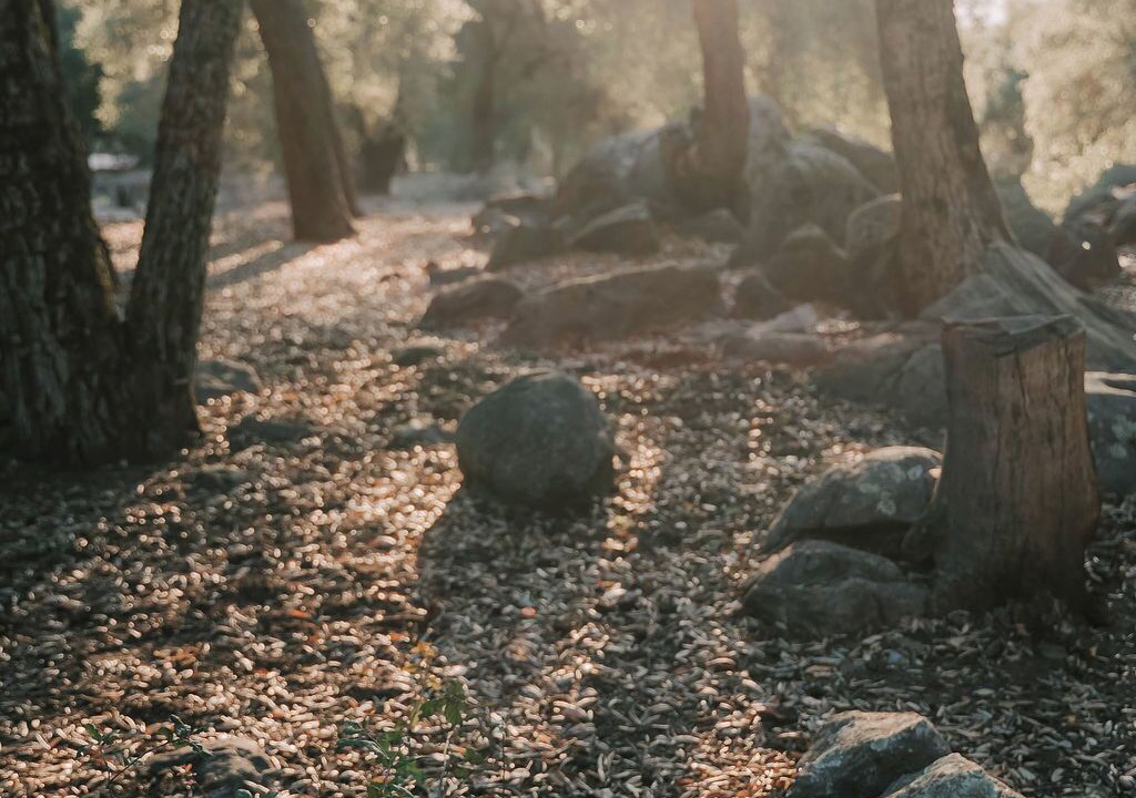 Photo of Others in Pauma Valley