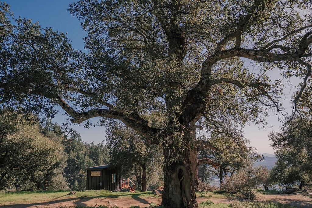 Photo of Others in Pauma Valley