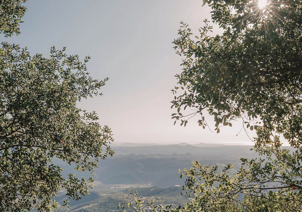 Photo of Others in Pauma Valley