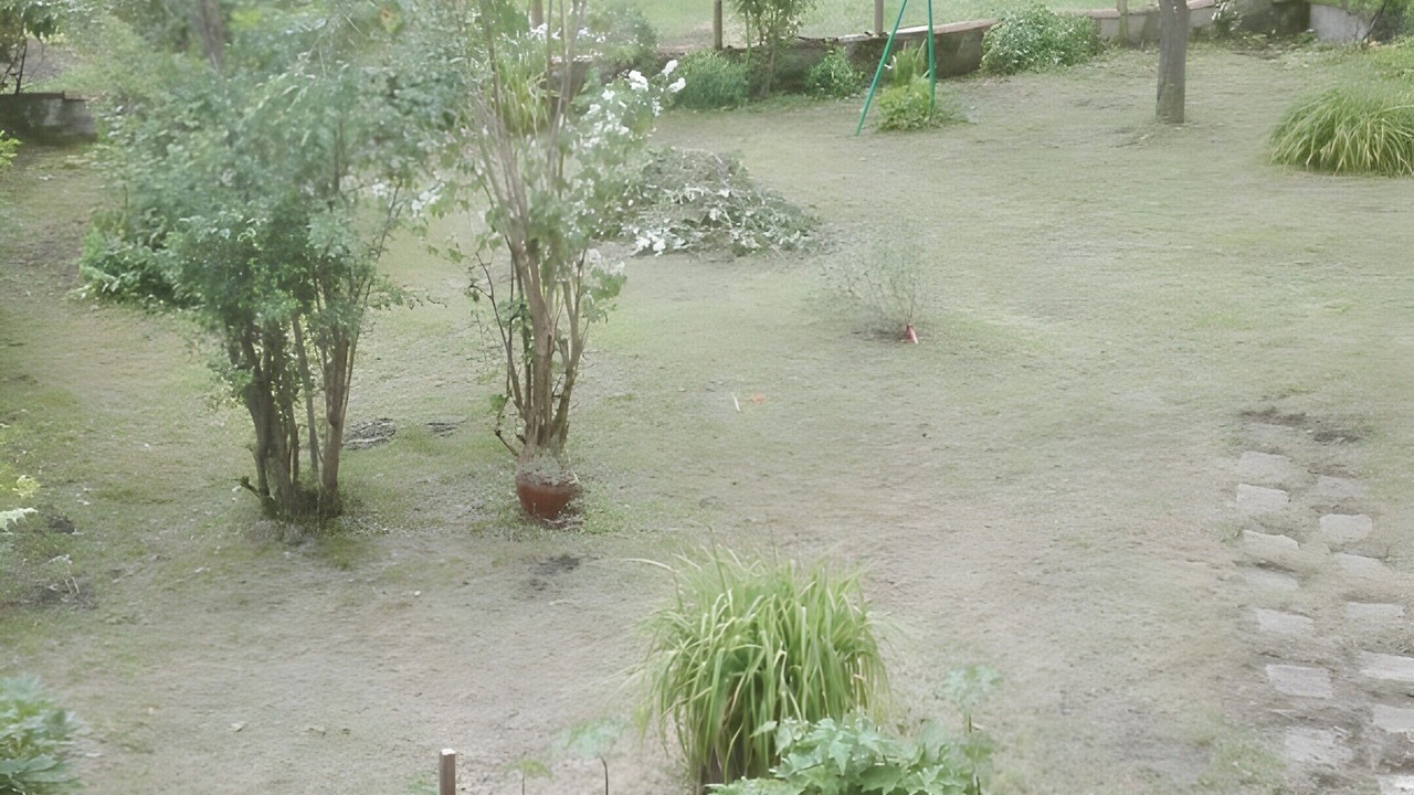 Photo of Outdoor in Erce