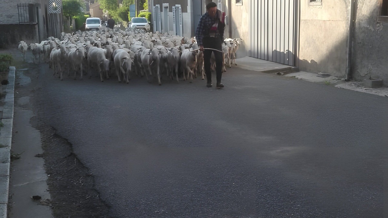 Photo of Others in Erce