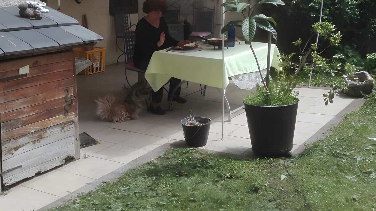Photo of Outdoor in Erce
