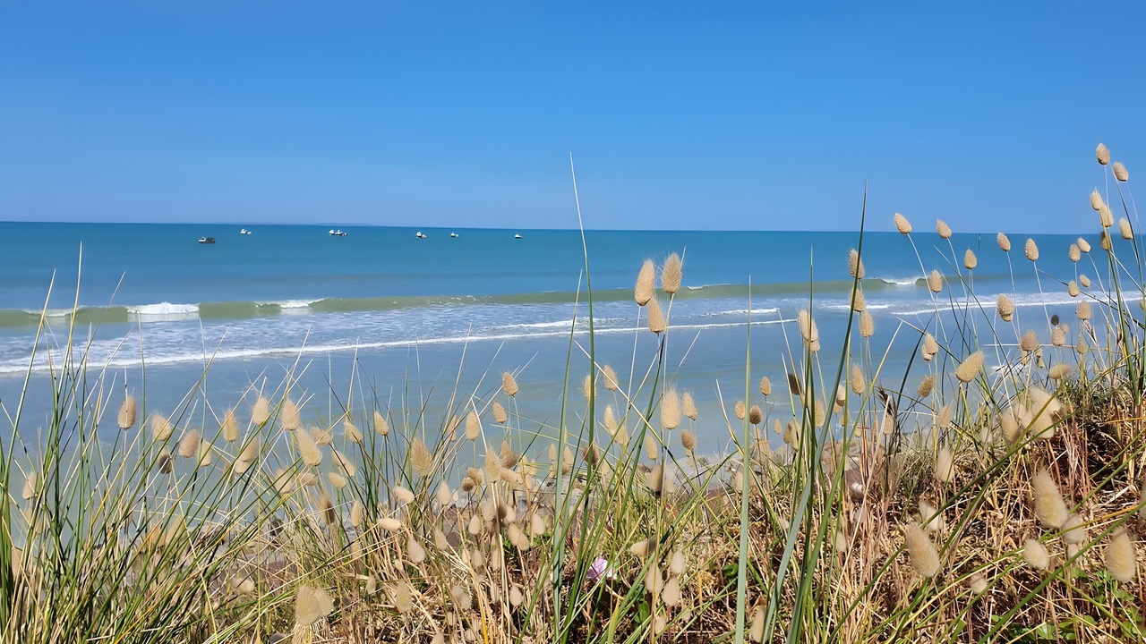 Photo of Others in Pirou