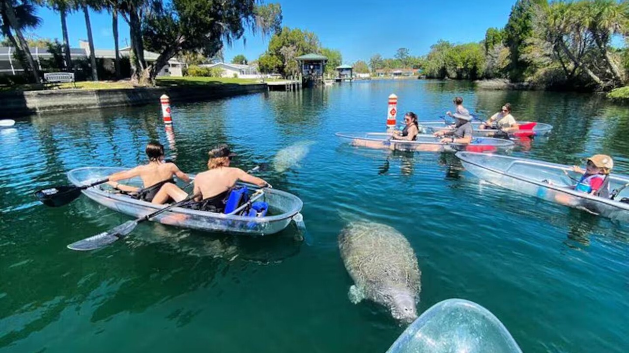 Photo of Others in Citrus Hills