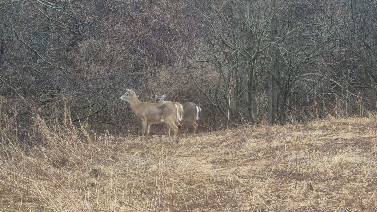 Photo of Others in Ajax