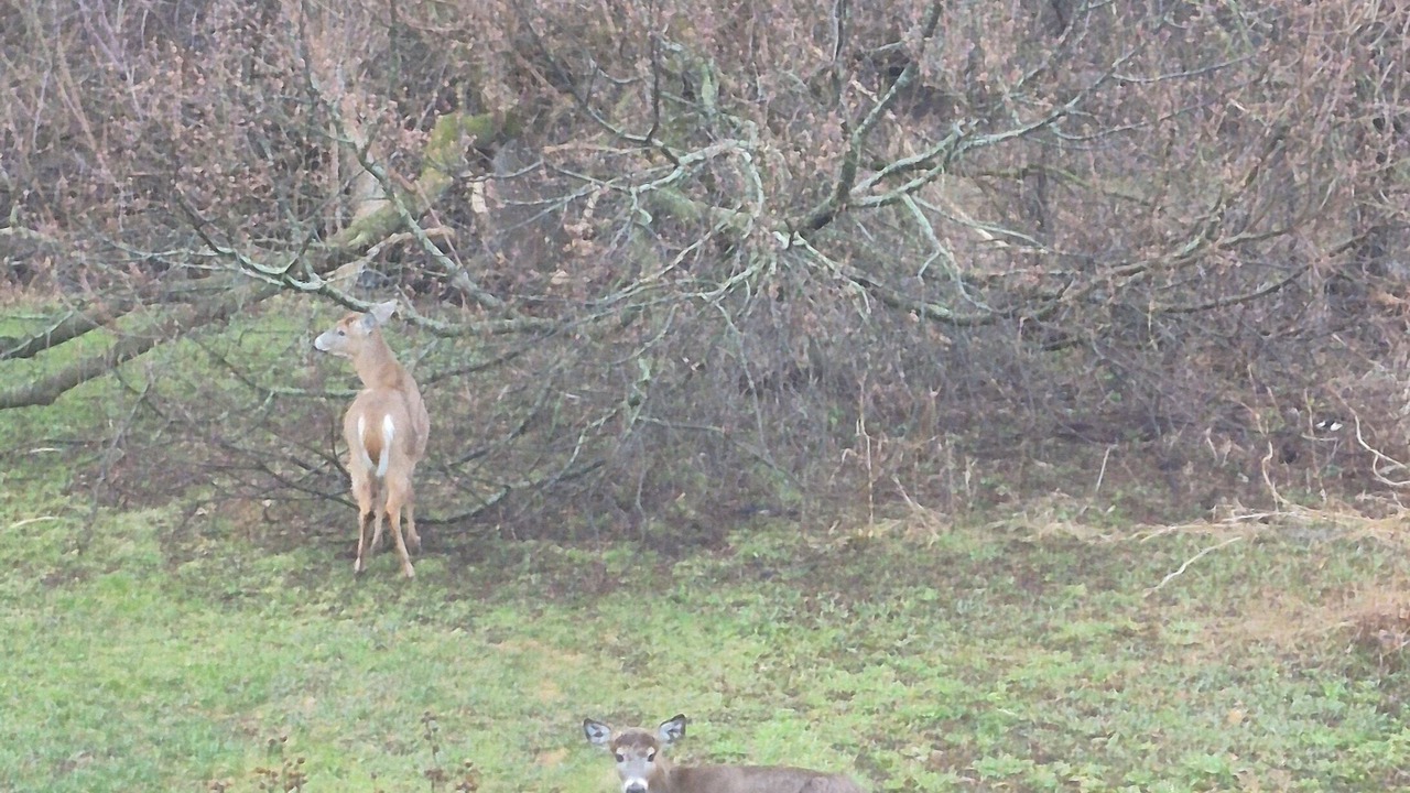 Photo of Others in Ajax