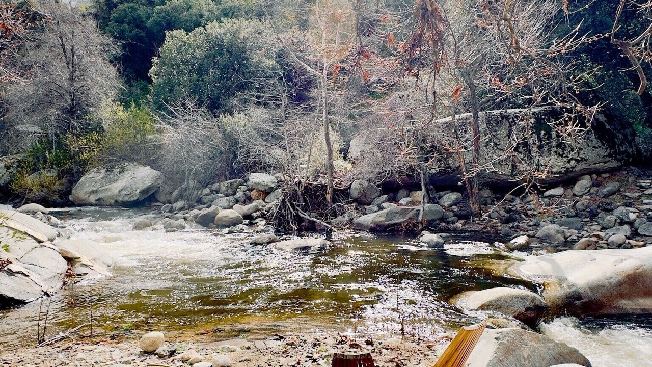 Photo of Others in Three Rivers