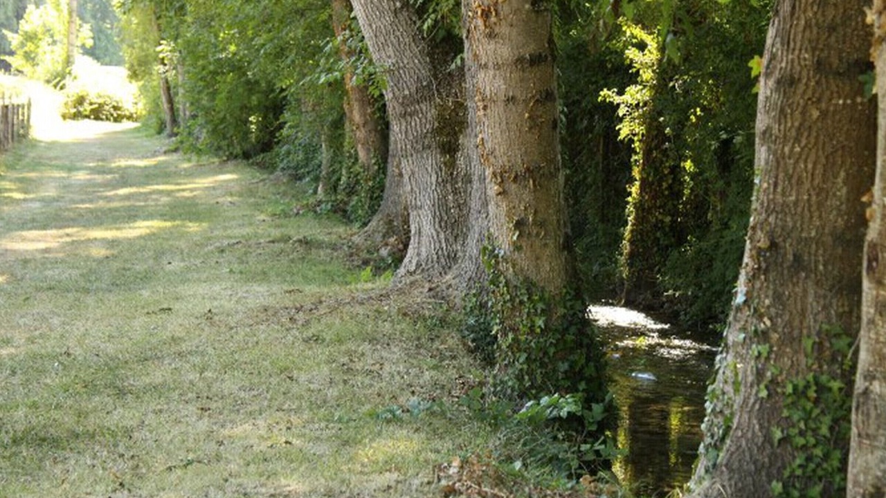 Photo of Others in Deux Rivieres