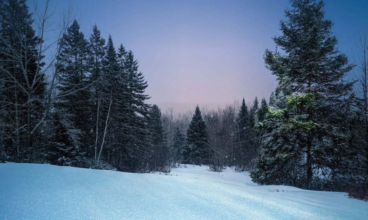Photo of Others in Aroostook