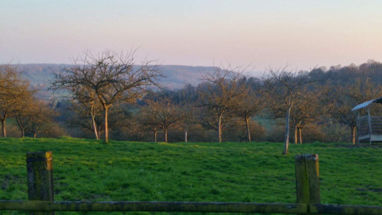 Photo of Others in Beaufour-Druval