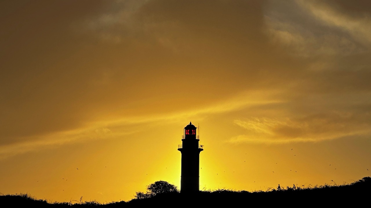 Photo of Others in Cayeux-sur-Mer