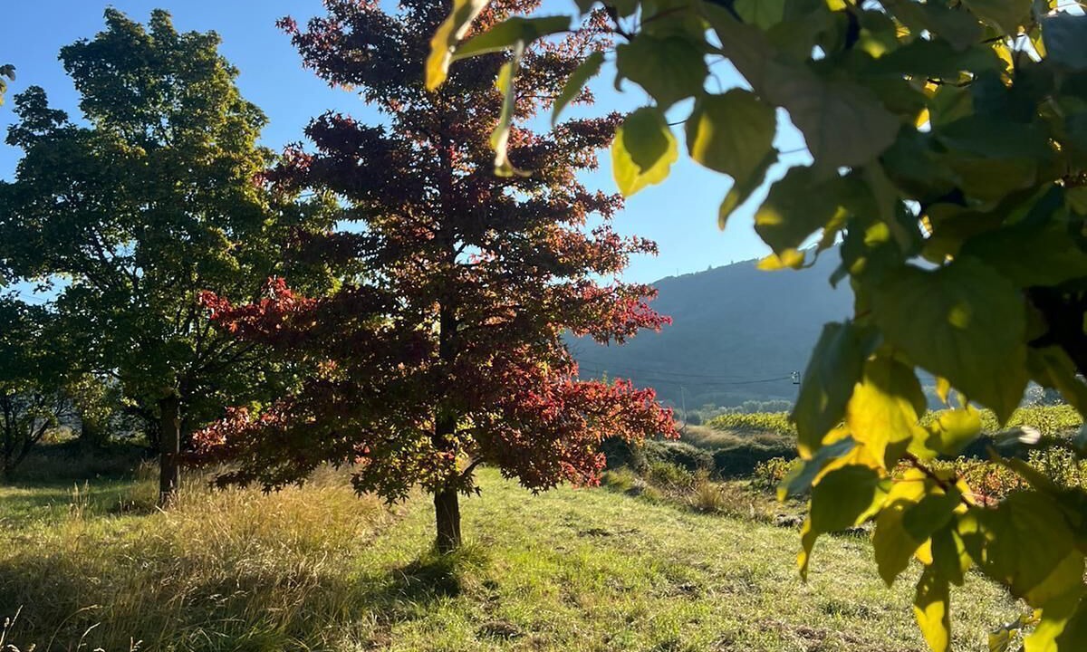 Photo of Others in Lussas