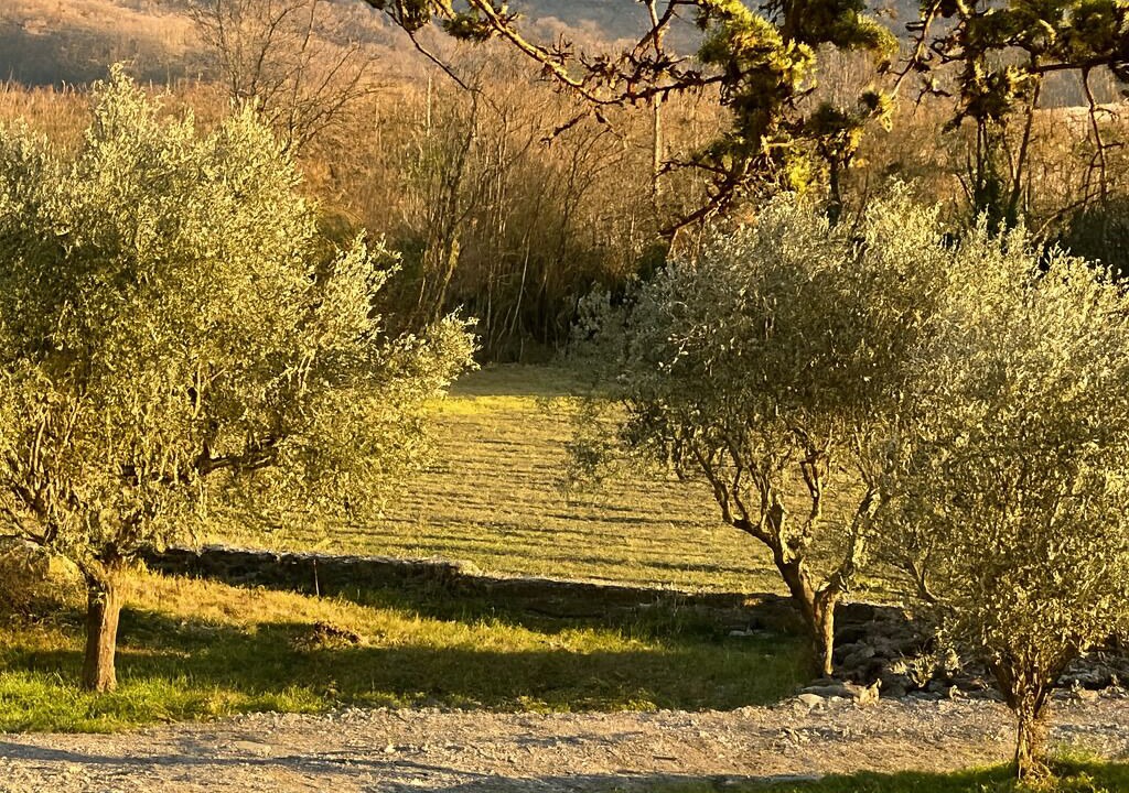 Photo of Others in Lussas