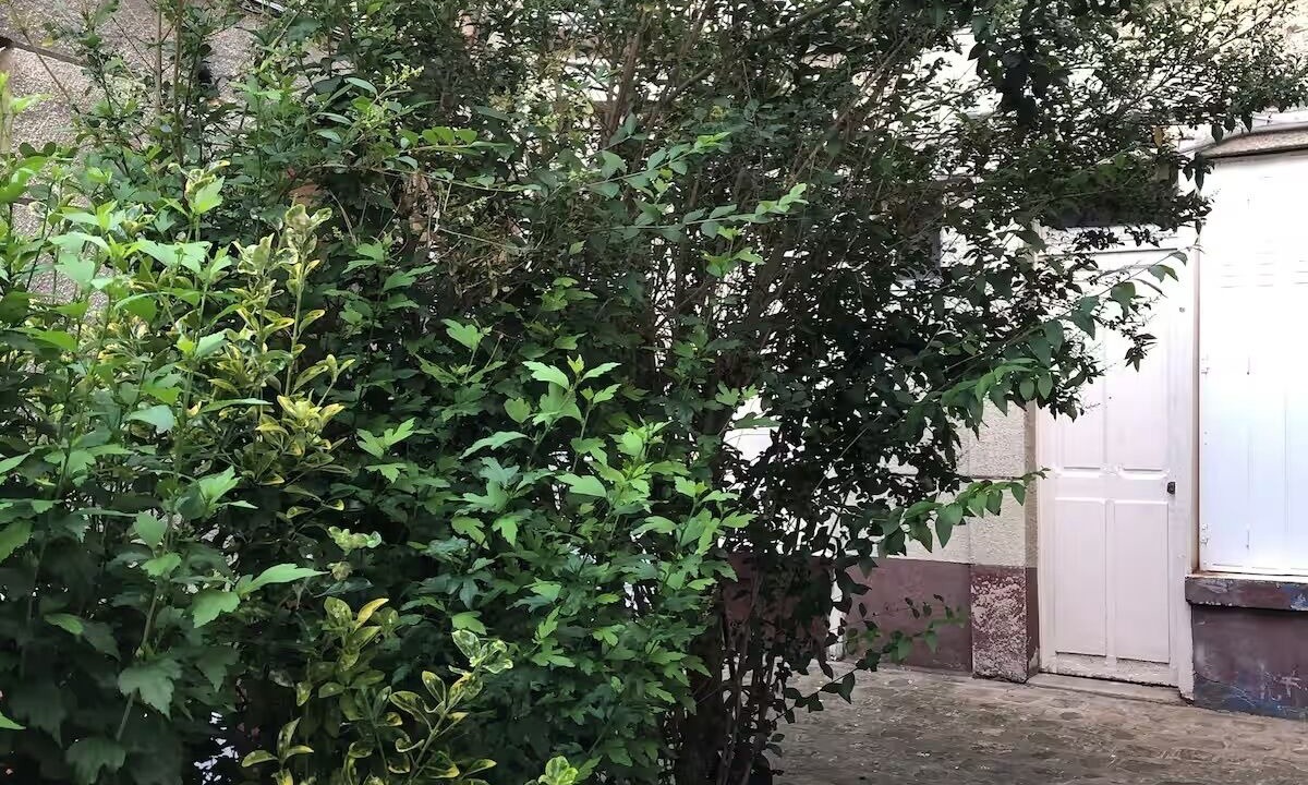 Photo of Outdoor in Le Pre-Saint-Gervais