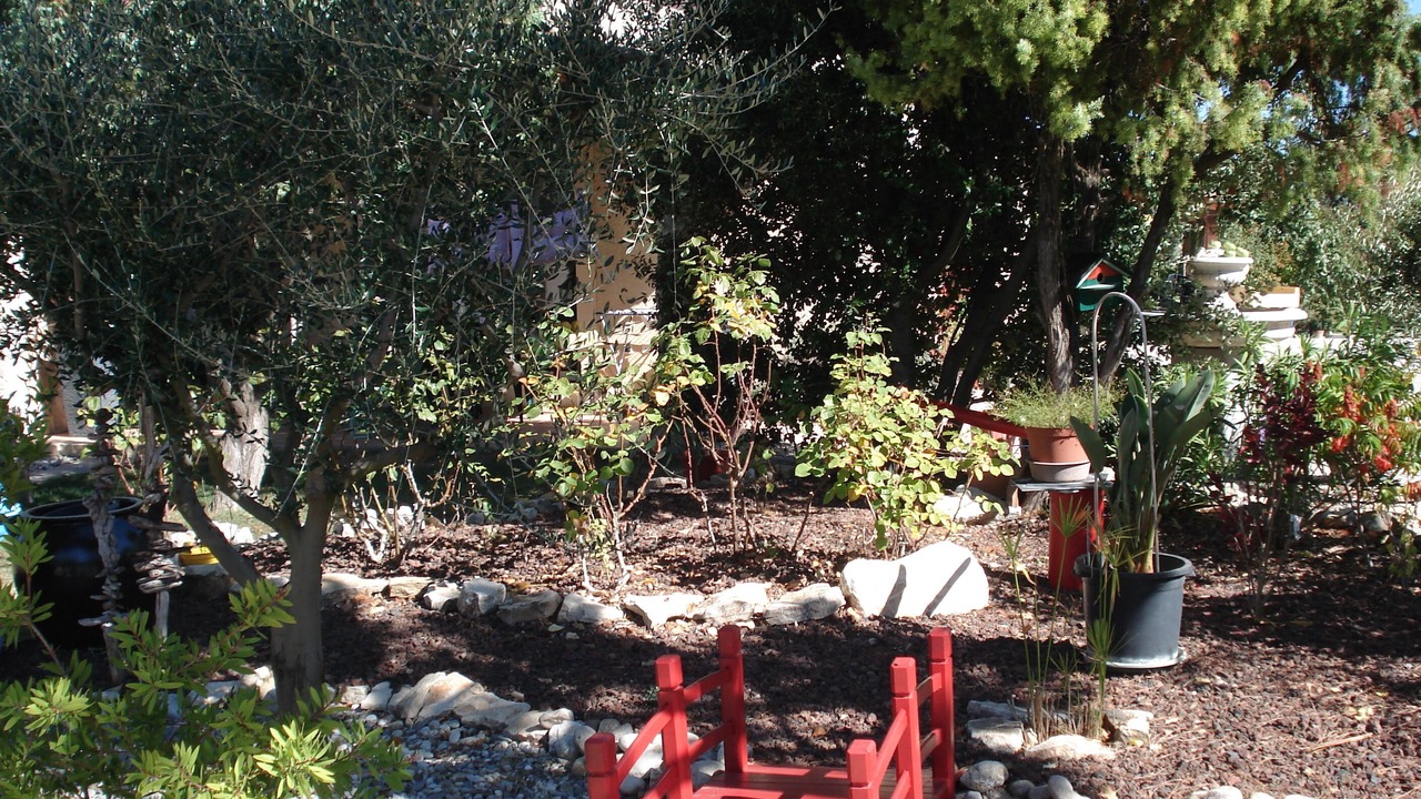 Photo of Outdoor in Gras