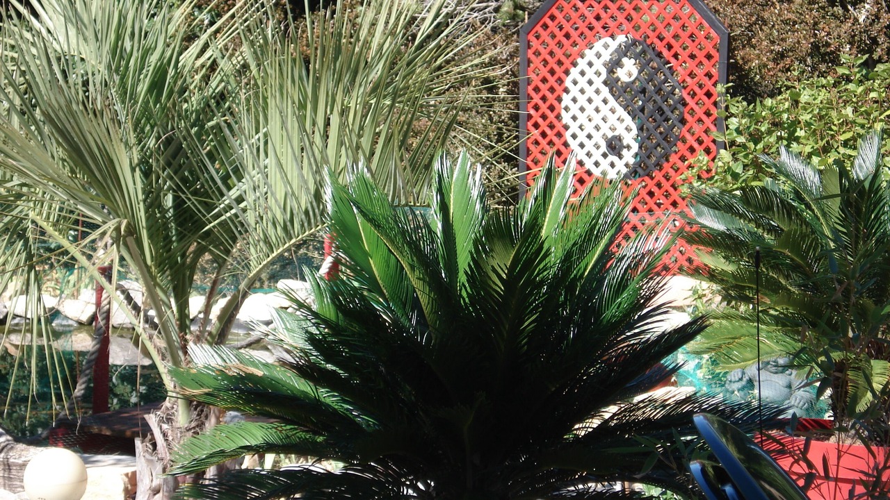 Photo of Outdoor in Gras