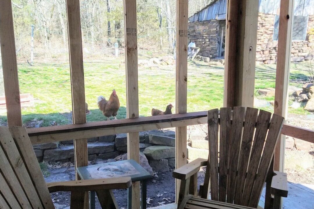 Photo of Patio Balcony in Prairie Grove
