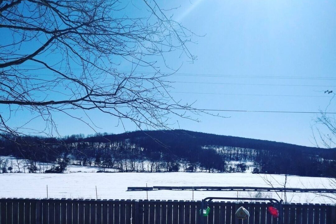 Photo of Others in Prairie Grove