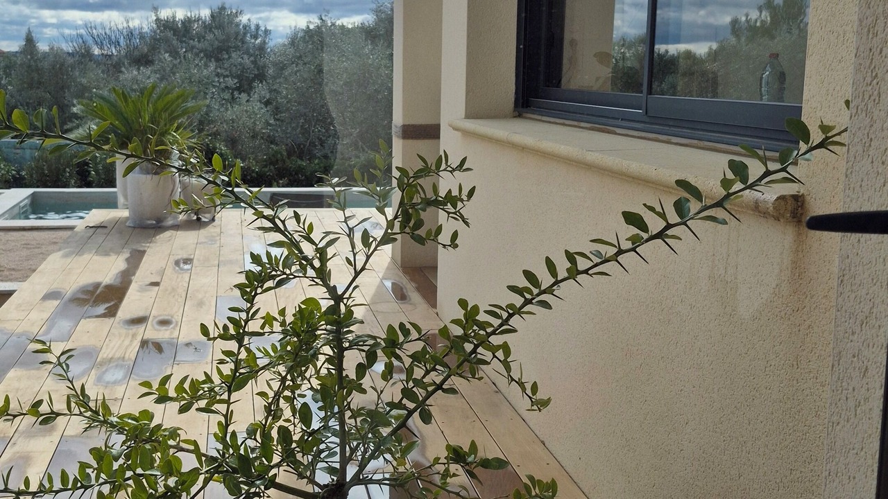 Photo of Outdoor in Chusclan
