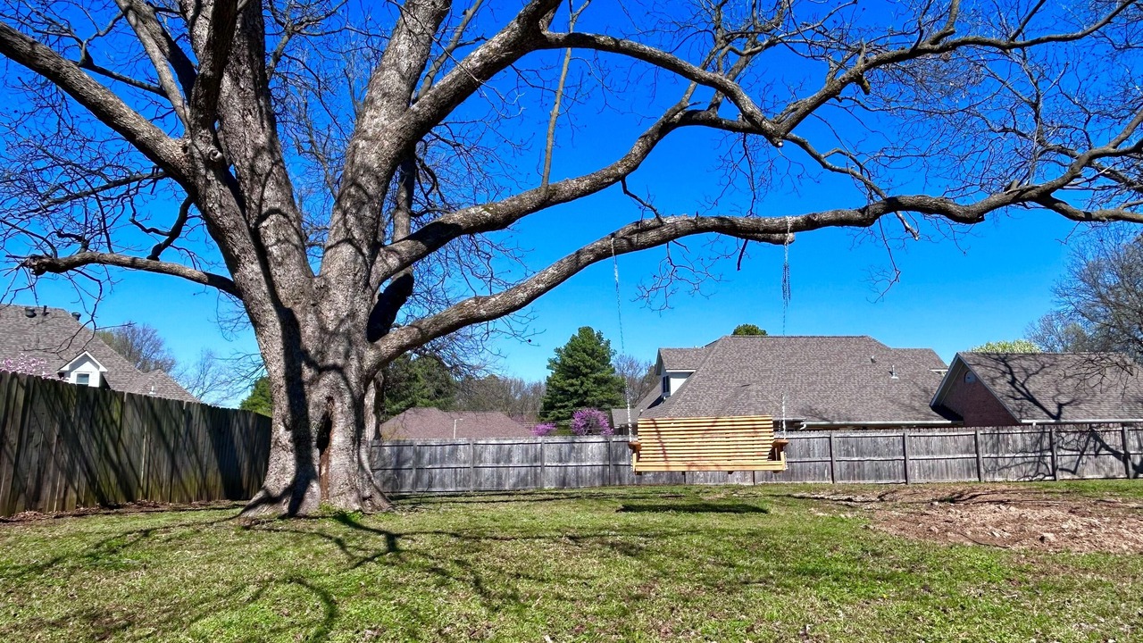 Photo of Outdoor in Jonesboro