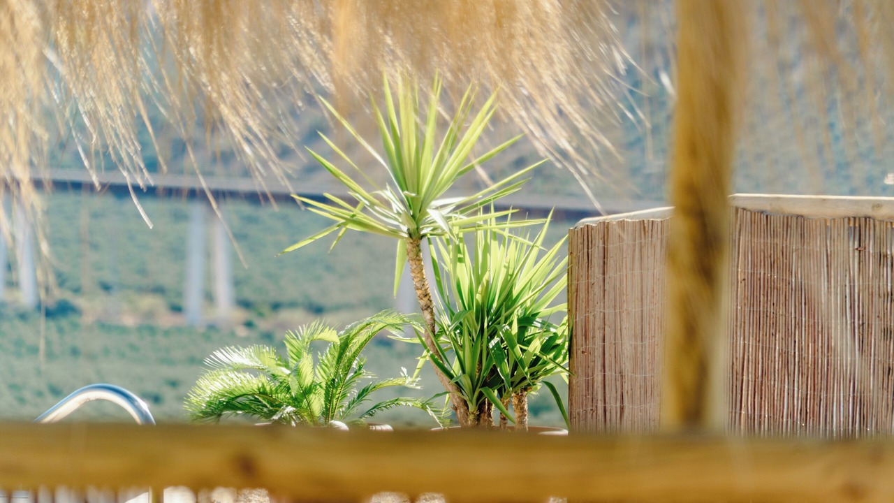 Photo of Outdoor in Archidona