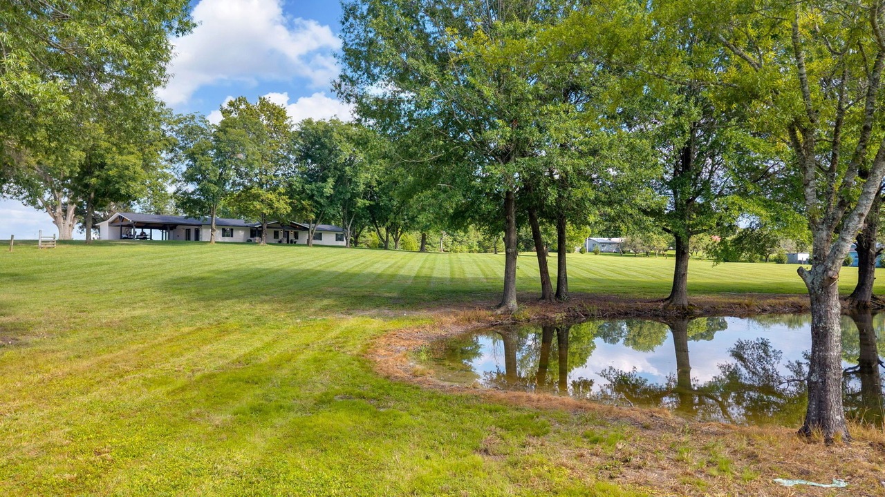 Photo of Outdoor in White Pine