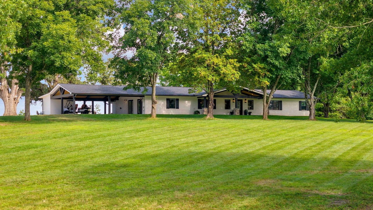 Photo of Outdoor in White Pine