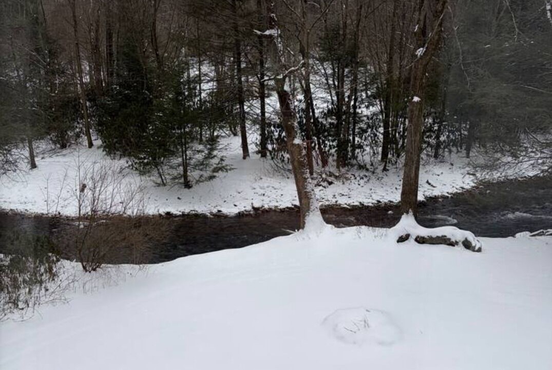 Photo of Others in Clearfield