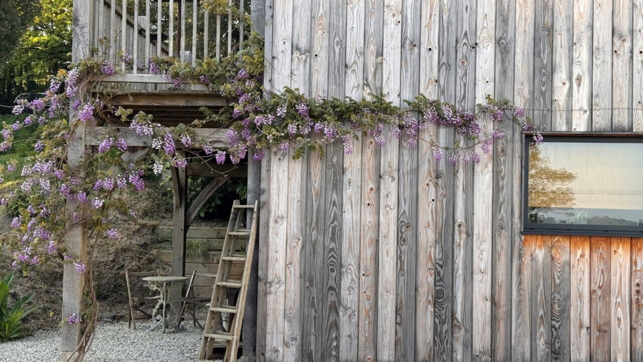 Photo of Outdoor in Swimbridge