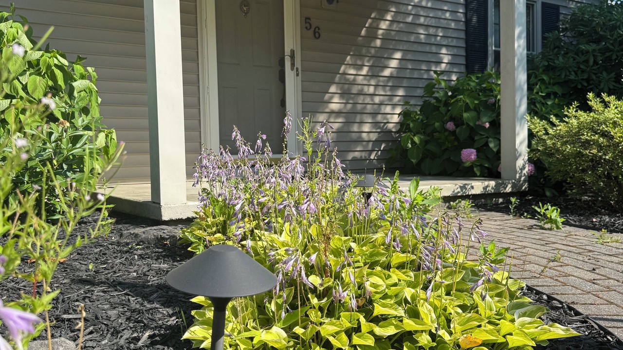 Photo of Outdoor in Rochester