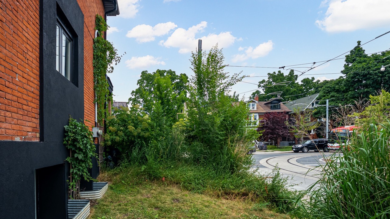 Photo of Outdoor in Parkdale
