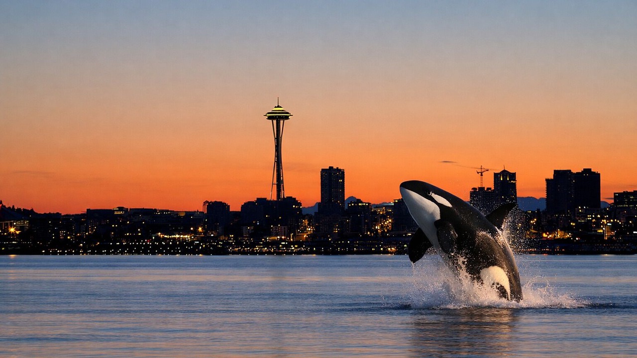 Photo of Others in Alki