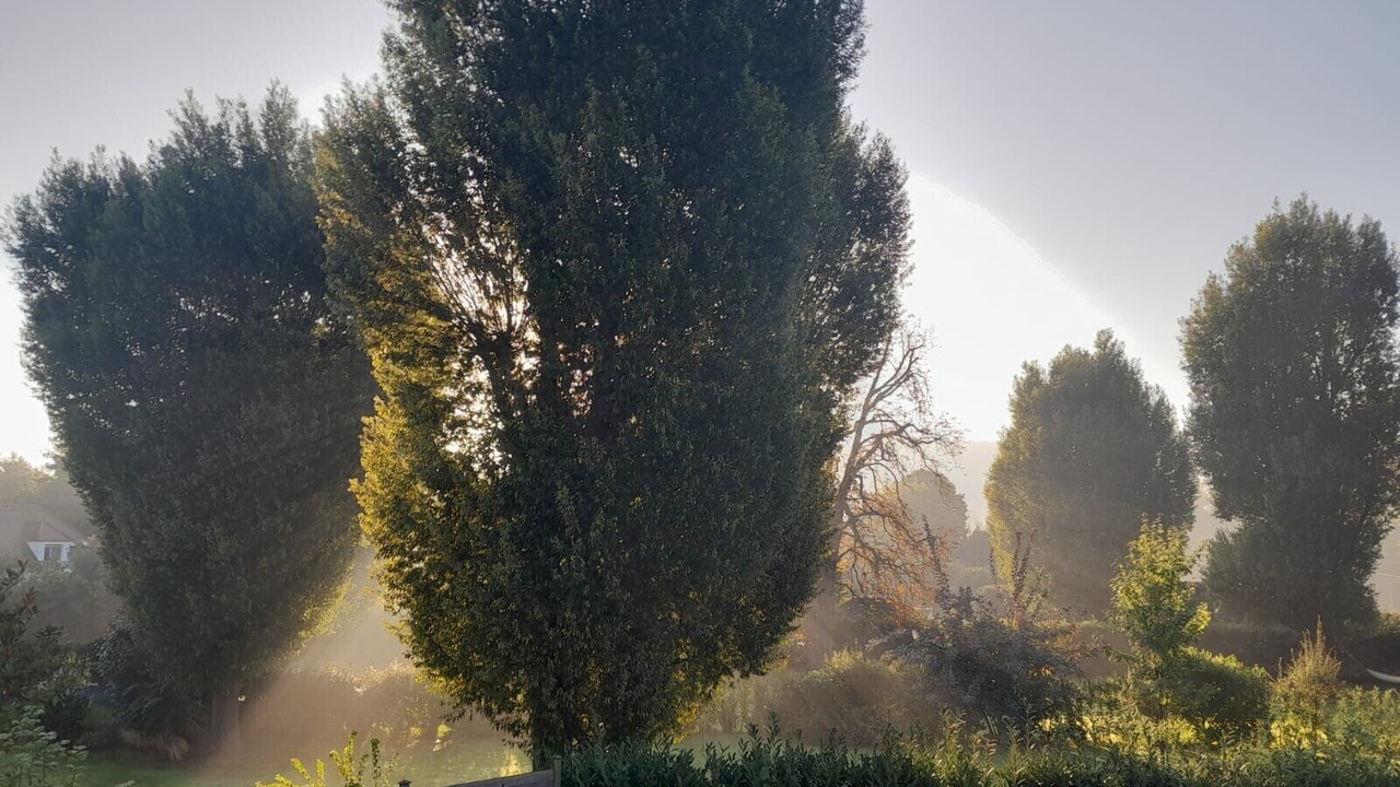 Photo of Others in Bougival