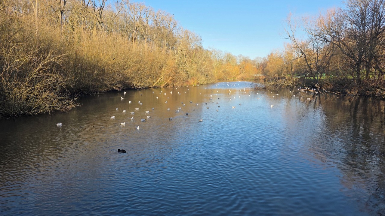 Photo of Others in Great Houghton