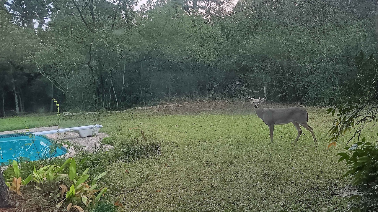 Photo of Others in Harvey Hillsides
