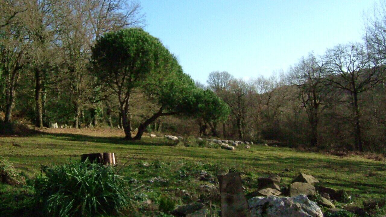 Photo of Others in Rochefort-en-Terre
