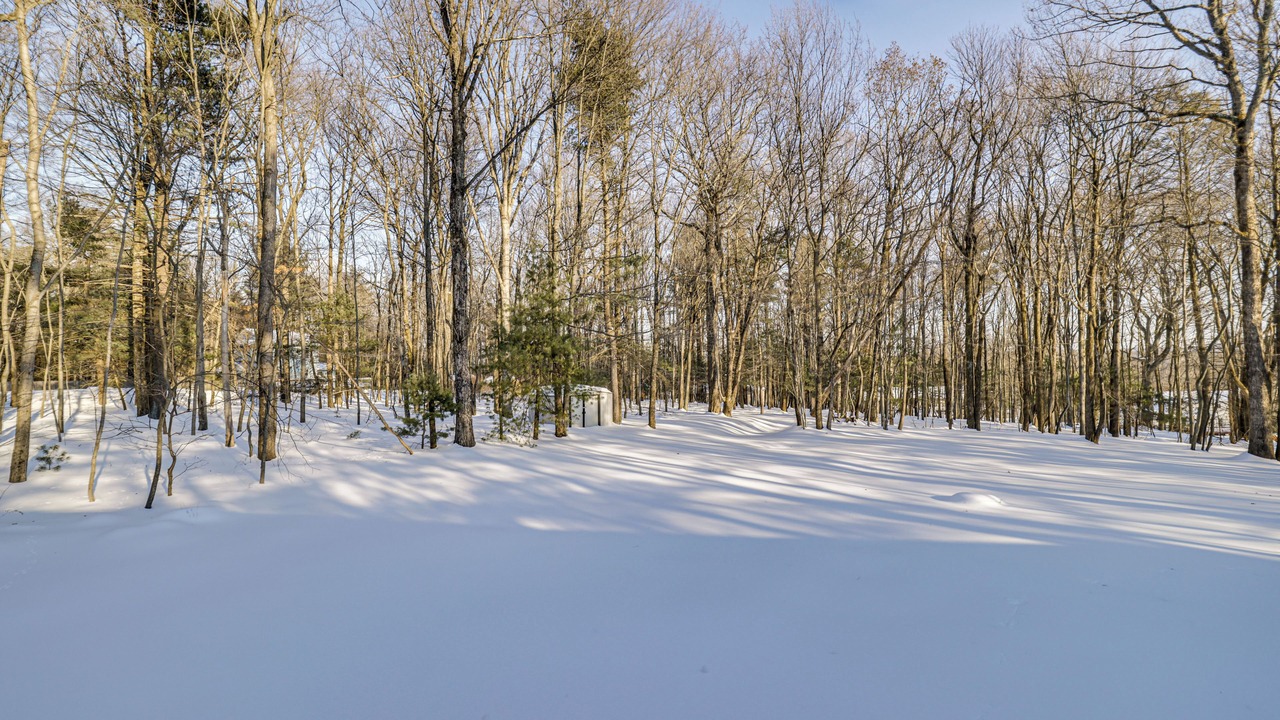 Photo of Others in Saylorsburg