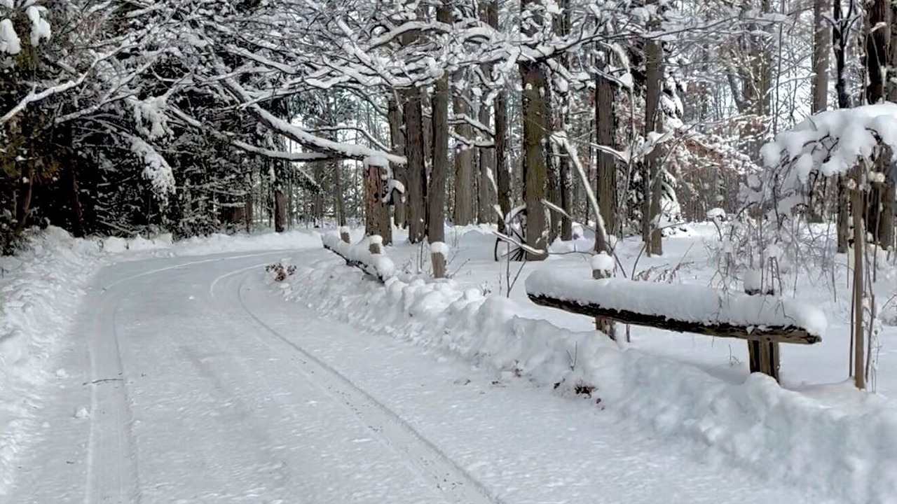 Photo of Others in Bradford West Gwillimbury