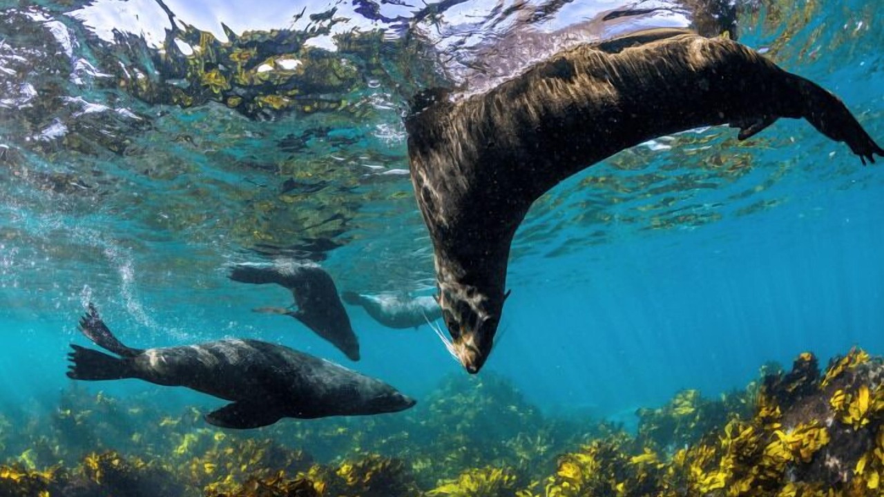 Photo of Others in Vincentia