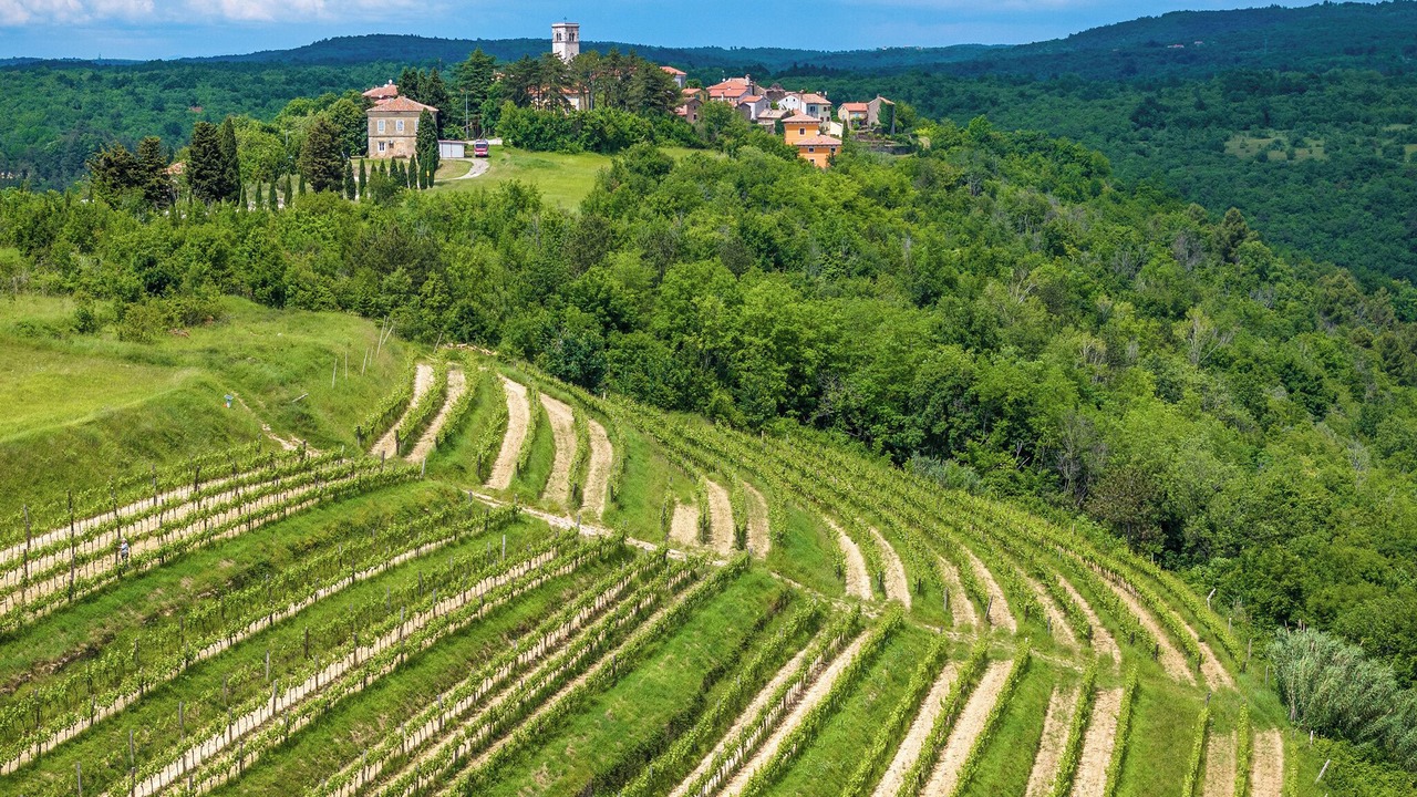 Photo of Outdoor in Dajla